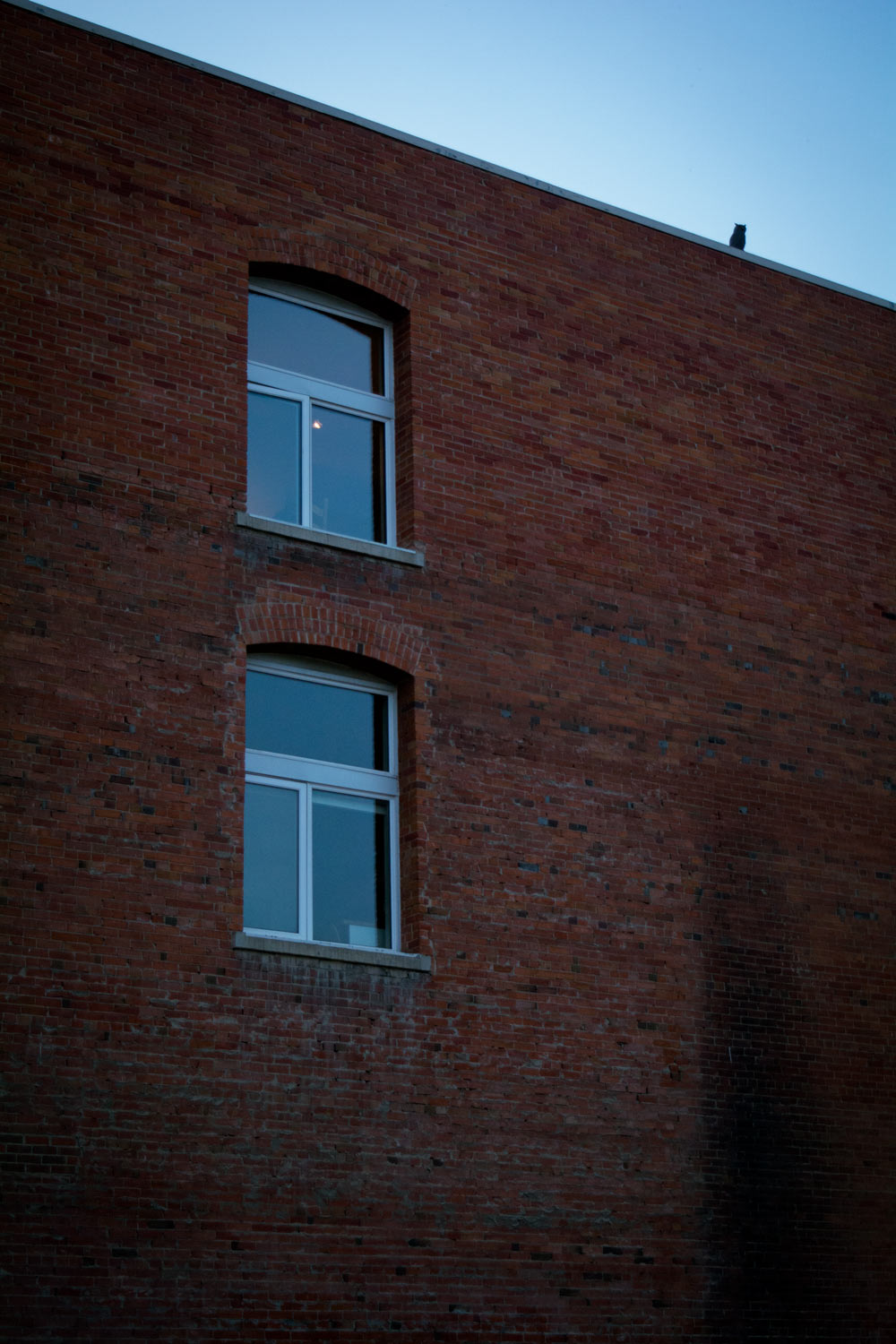 Youve arrived at the Suitor House