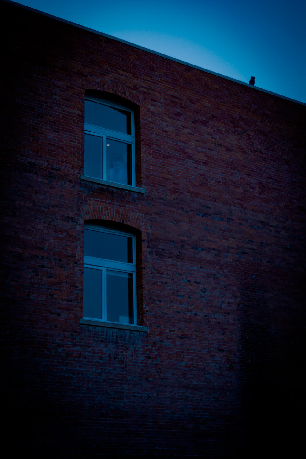 Youve arrived at the Suitor House