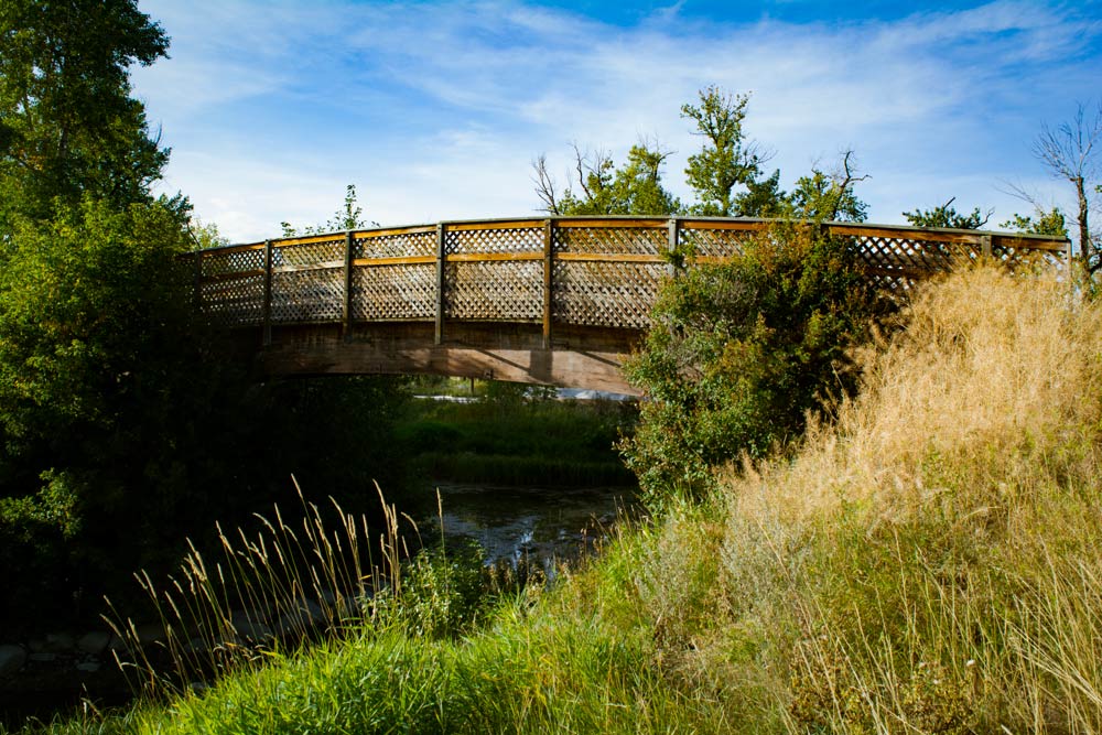 Youve Stumbled Upon Zoo Bridge