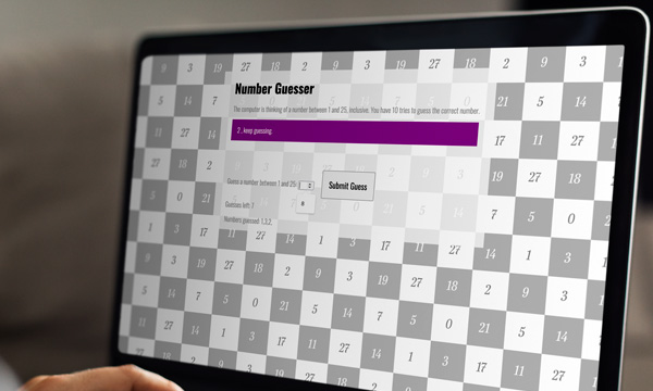 Number Guesser showcase